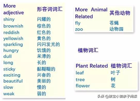 绘本趣读丨不做拼拼凑凑的变色龙，坚持自我「本色」