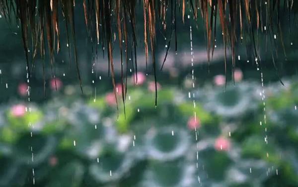 梅雨季节是几月份到几月份结束？梅雨季节形成原因