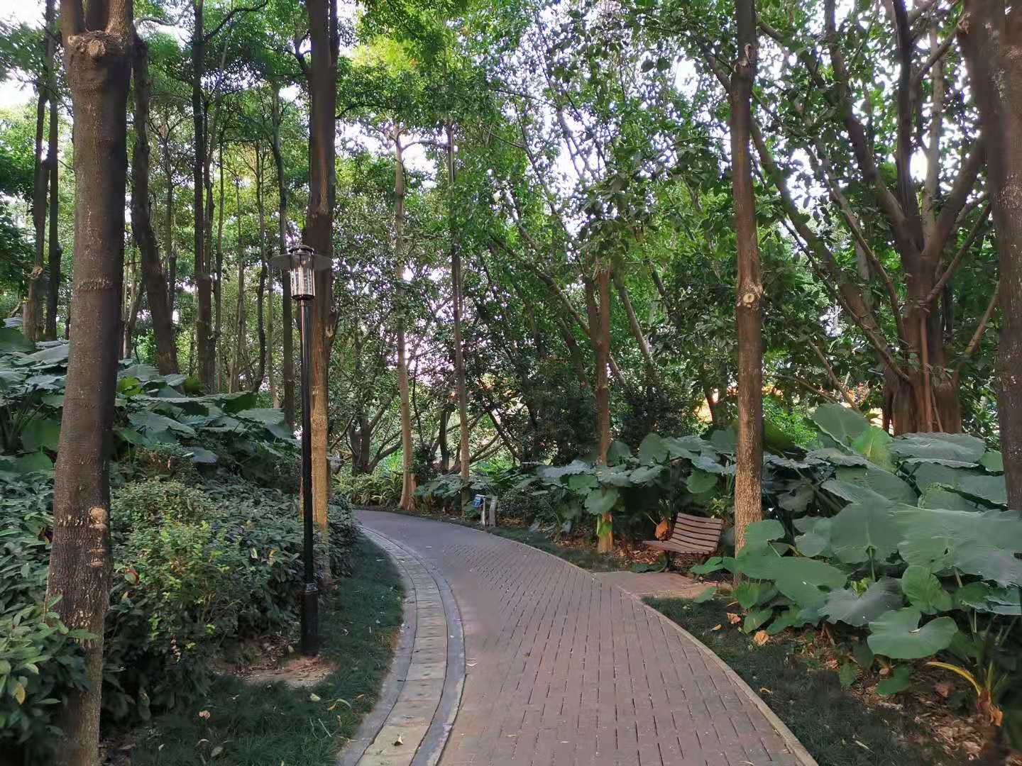 深圳大沙河公園 深圳大沙河公園跑步-徐拾記官網