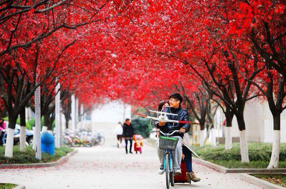 四川最具潜力三所“黑马院校”，实力碾压众多211大学，值得报考