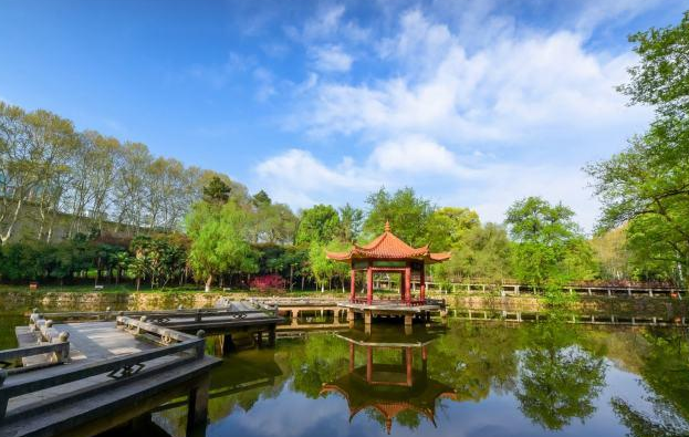 学校的面积可以大到什么程度？坐地铁上课，迟到竟成了家常便饭