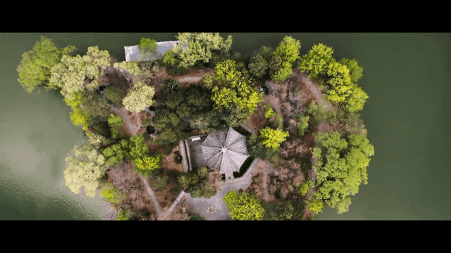 北京大学2020年招生宣传片发布！就在《你的大学，绽放》！