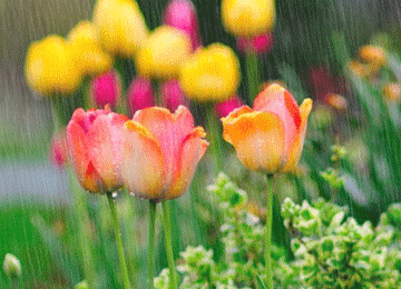 若不懂珍惜，就不配拥有