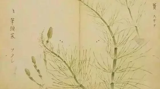 美眉?如花似玉?千金?在古代,这些词其实原指男子?