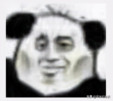 公办九年一贯制，我该选哪个？