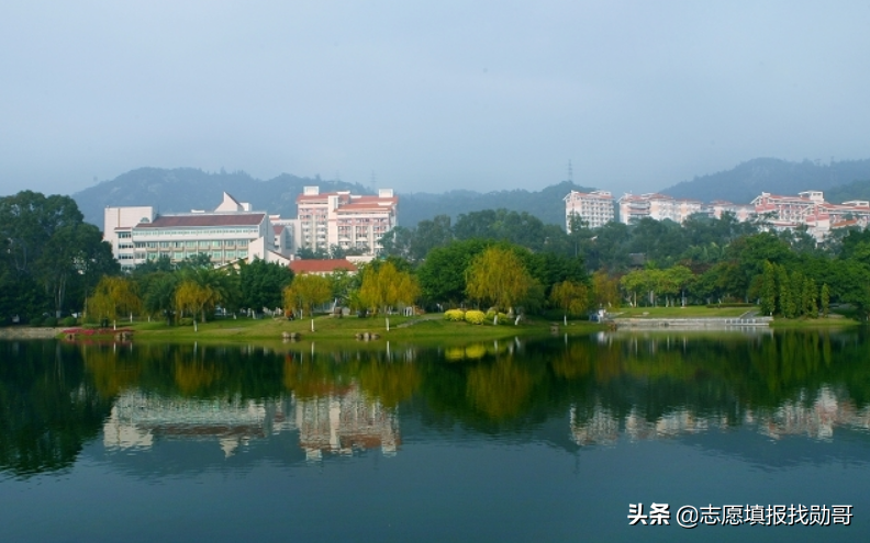 厦门大学音乐系分数线（407分上厦门大学）
