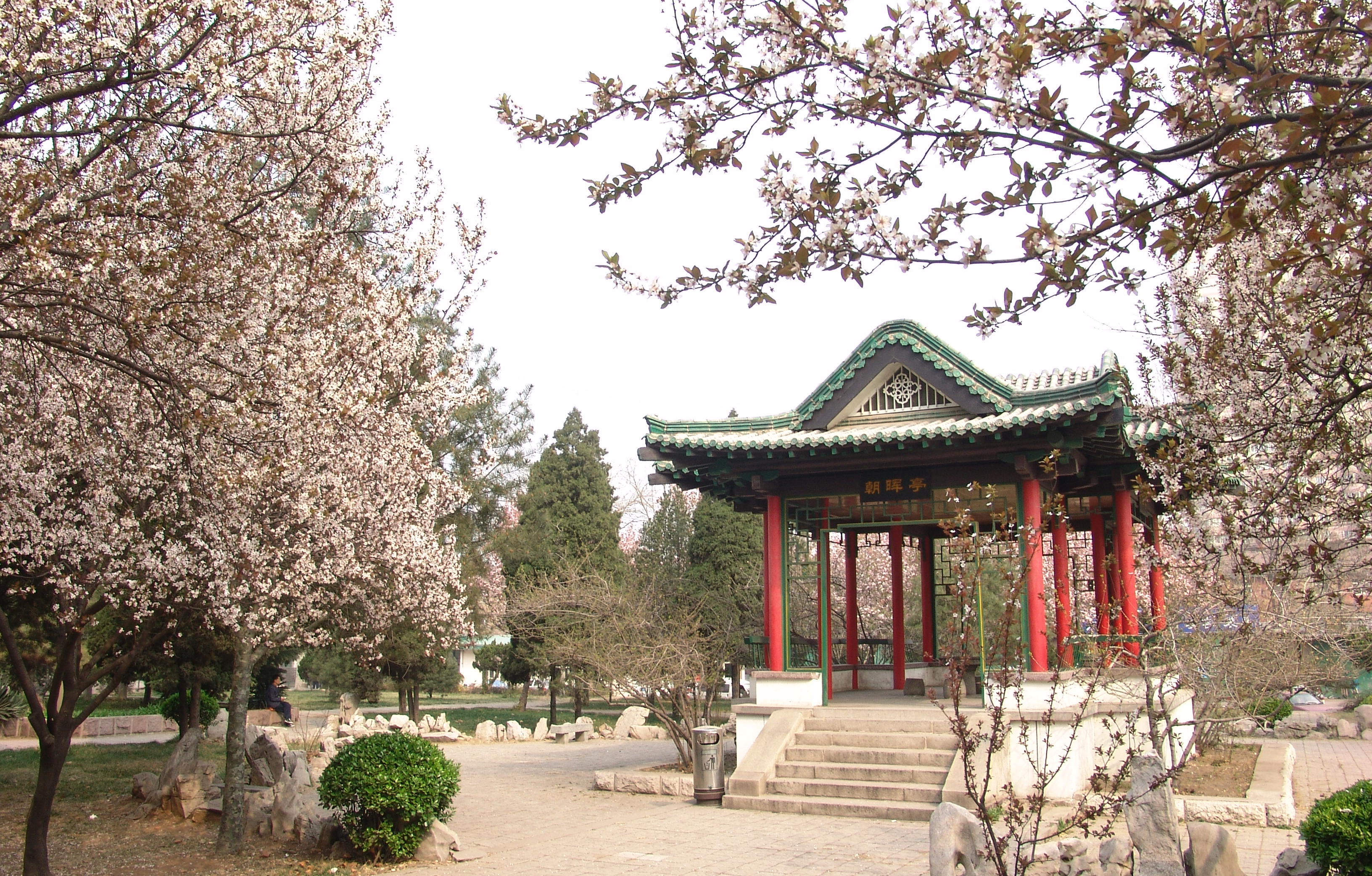 这2所师范类大学美术专业对比分析，请你选出谁是艺术强校？