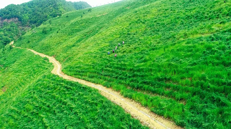 我叫德兴铜矿，是中国最大在产铜矿……