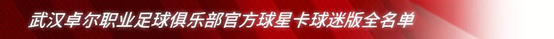 中超中体卡是什么(「重磅」武汉卓尔职业足球俱乐部官方球星卡正式发售)