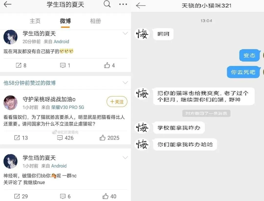 起底虐猫嗜血产业链！百部视频卖50元，团伙分工合作，有人月赚万元！