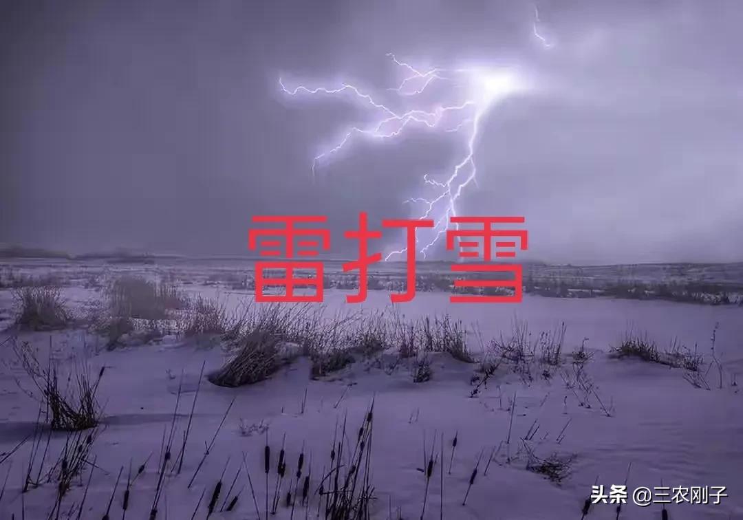 天气预报：农村俗语“雷打雪，人啃铁”，有什么预兆？是啥意思？