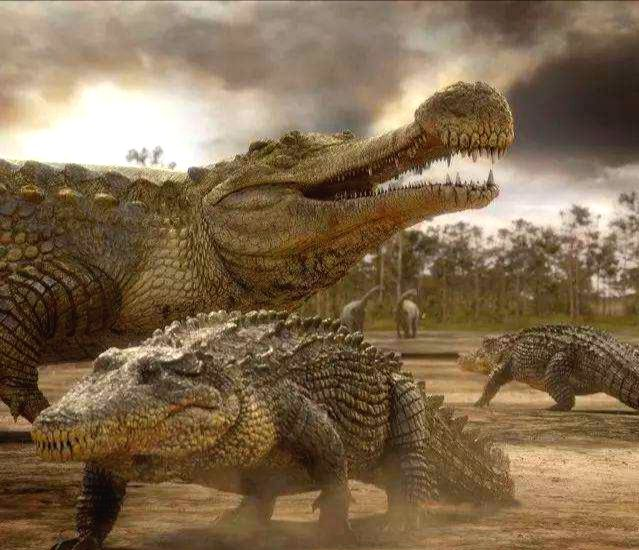 最大的鳄鱼是哪种鳄鱼史上最大的鳄鱼图片