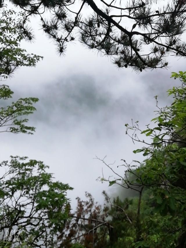 雾锁山头山锁雾