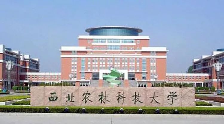 倒数排名的985大学，这3所大学的名字不出所料，你是否同意