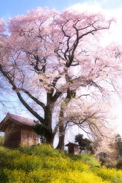 世界极致美景，一睹为快！