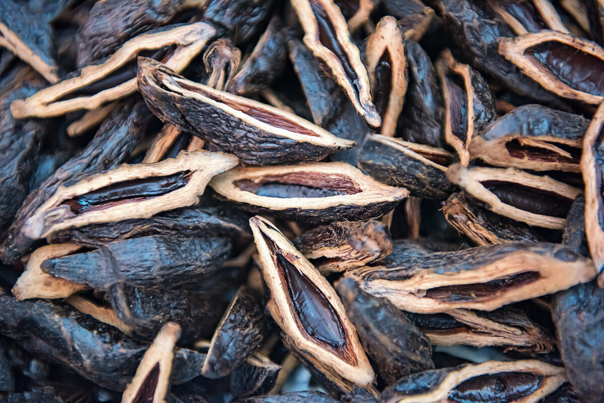 槟榔是什么东西 为什么吃槟榔会上瘾-徐拾记官网