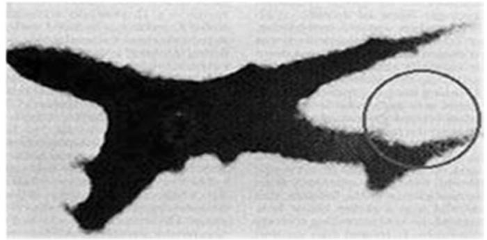 日本航空123号班机空难事件详解(空难档案：日本航空123号班机空难事件)