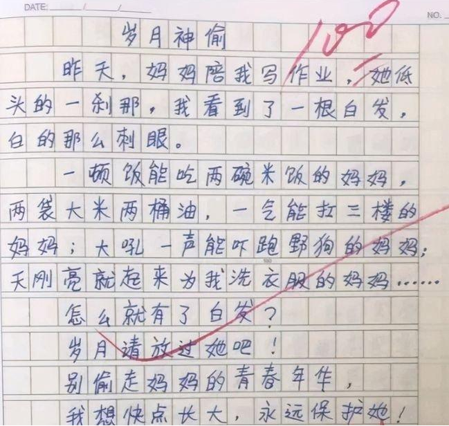 作文《我的小姨》走红，人物描写画面感太强，小姨：鸡毛掸子呢