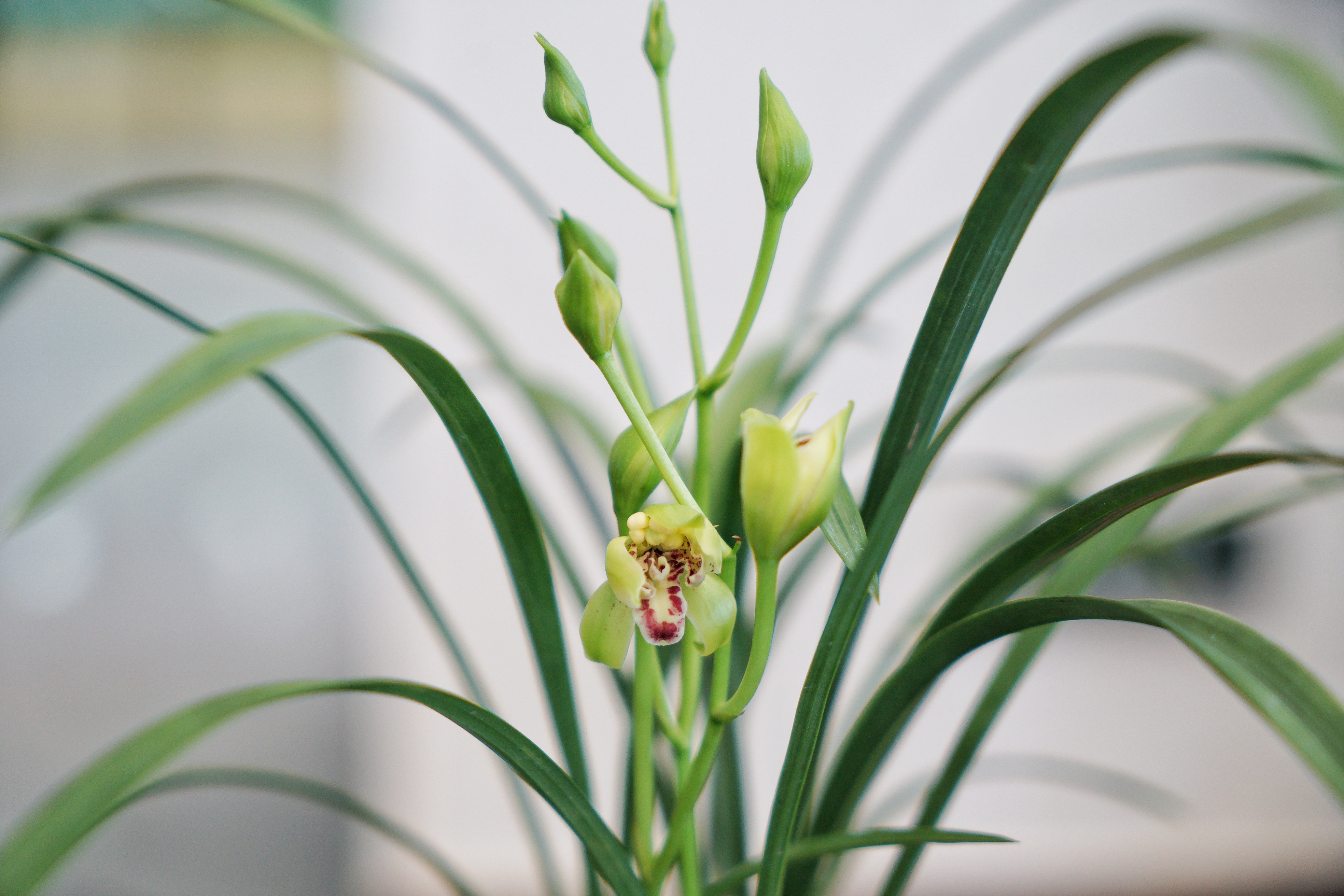 开始下庄图片大全(小众旅行地) - 赤虎壹号