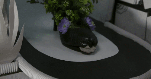 耗时6年，58000张实拍照片，这部大尺度国产佳作不该被埋没