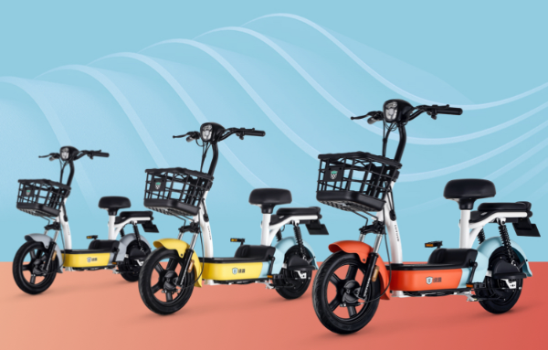 电动自行车十大名牌介绍，盘点值得入手的电动自行车有哪些？