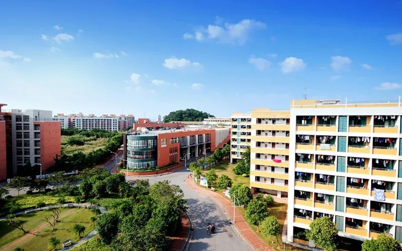 中山大学 近三年各批次录取分数统计，2019各专业录取分数