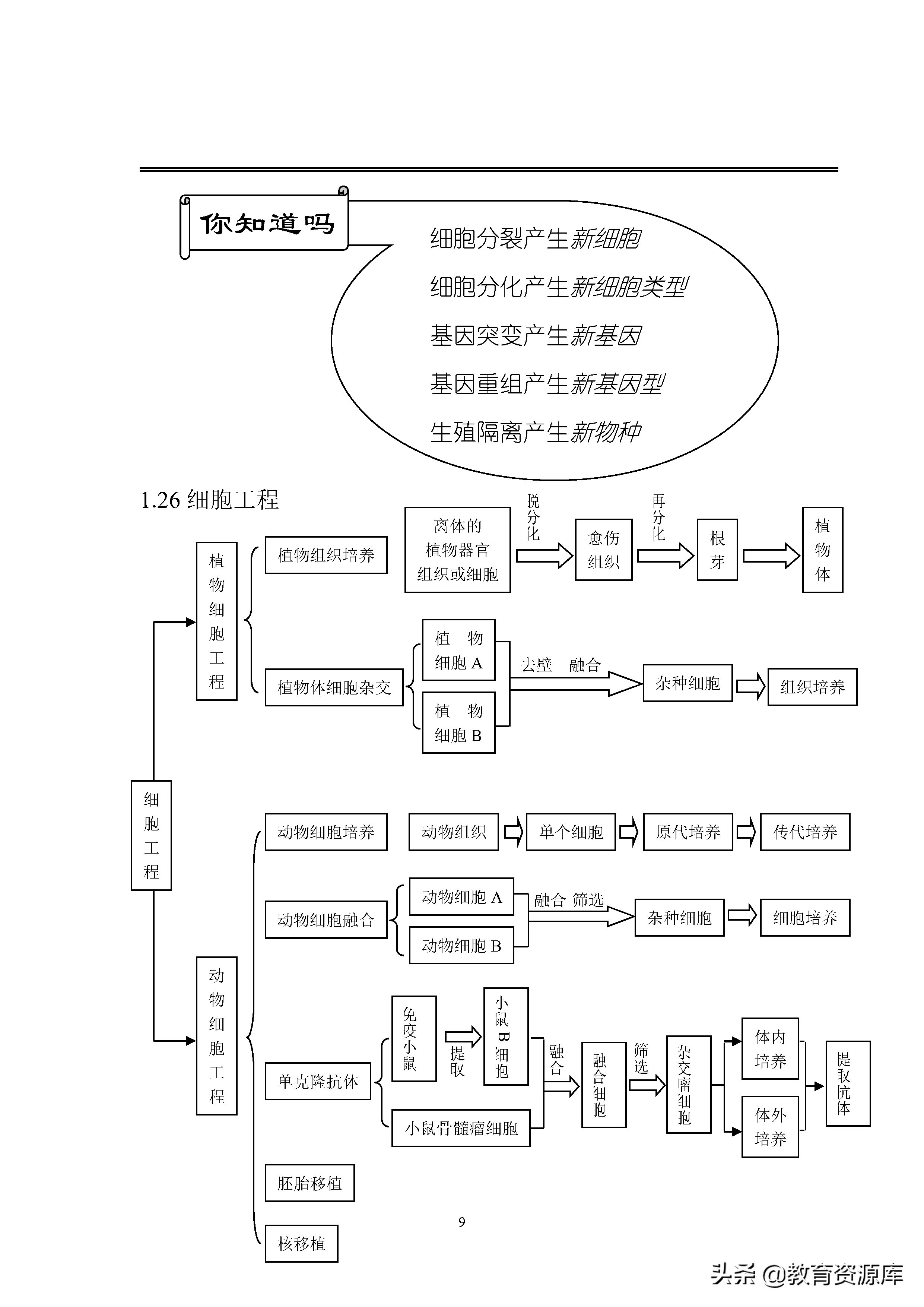高中生物：高考生物必考知识点总结