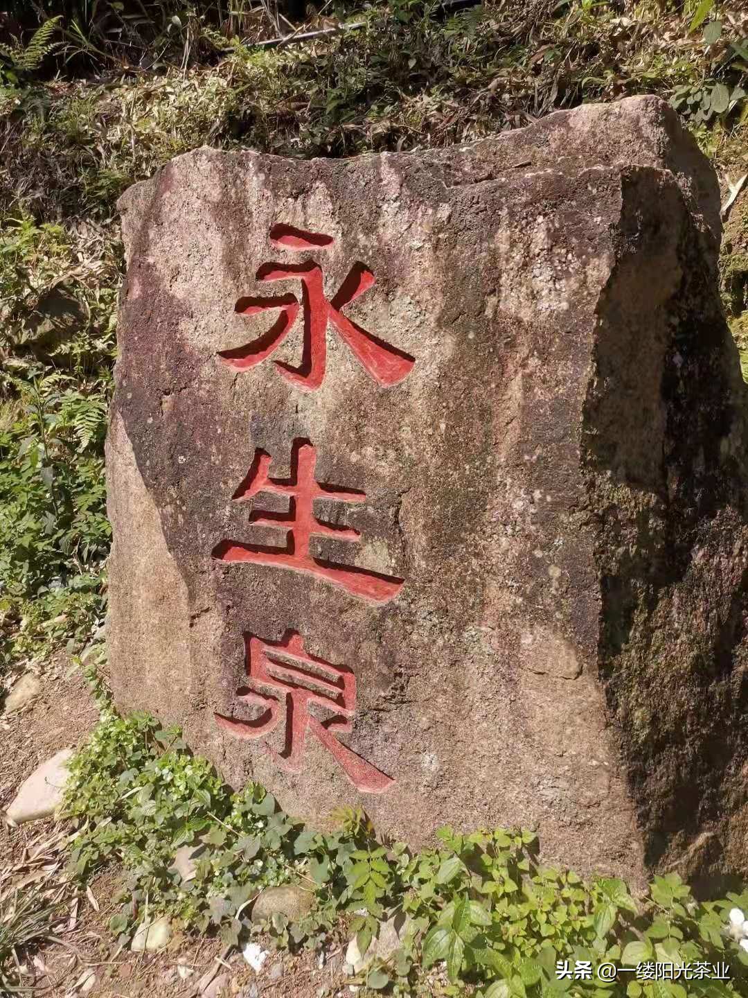 武夷山必玩十大景点指南，含交通、门票等详细事宜（下篇）