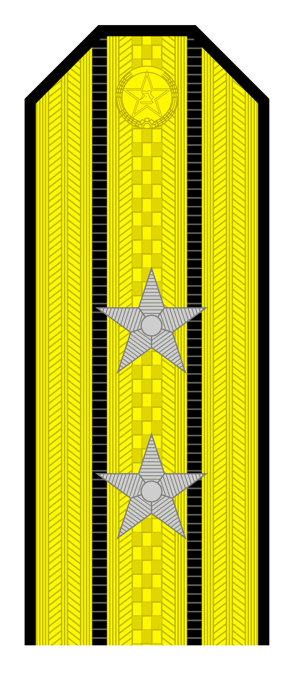 解放军肩章大小图片（解放军55式军衔军官常服肩章一览）