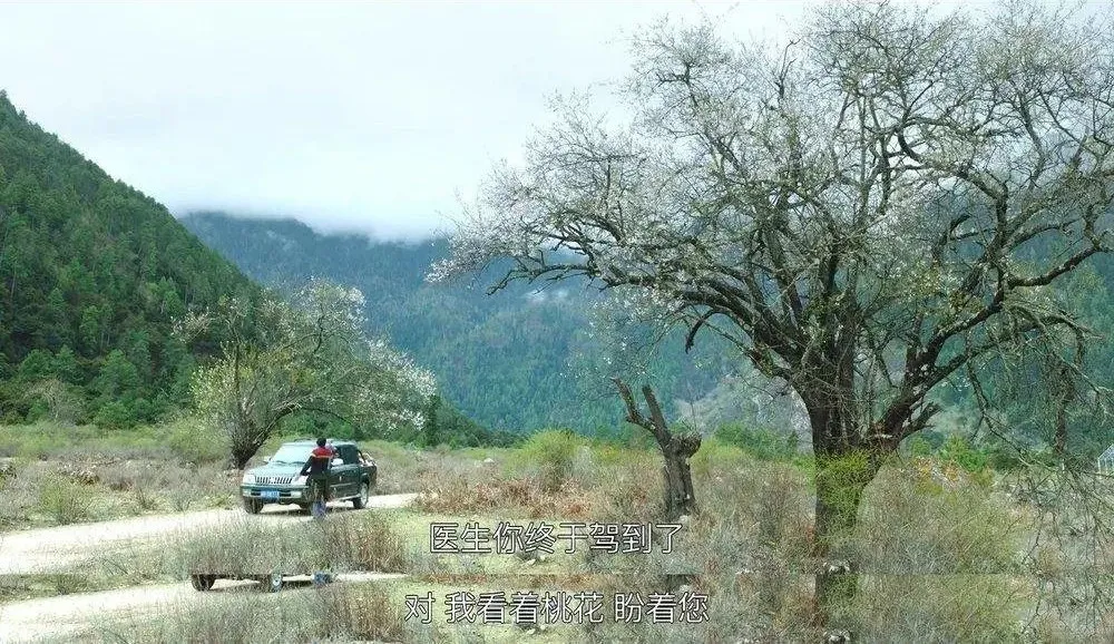 宅家不开心的城市人，都该看看这部神级国产纪录片