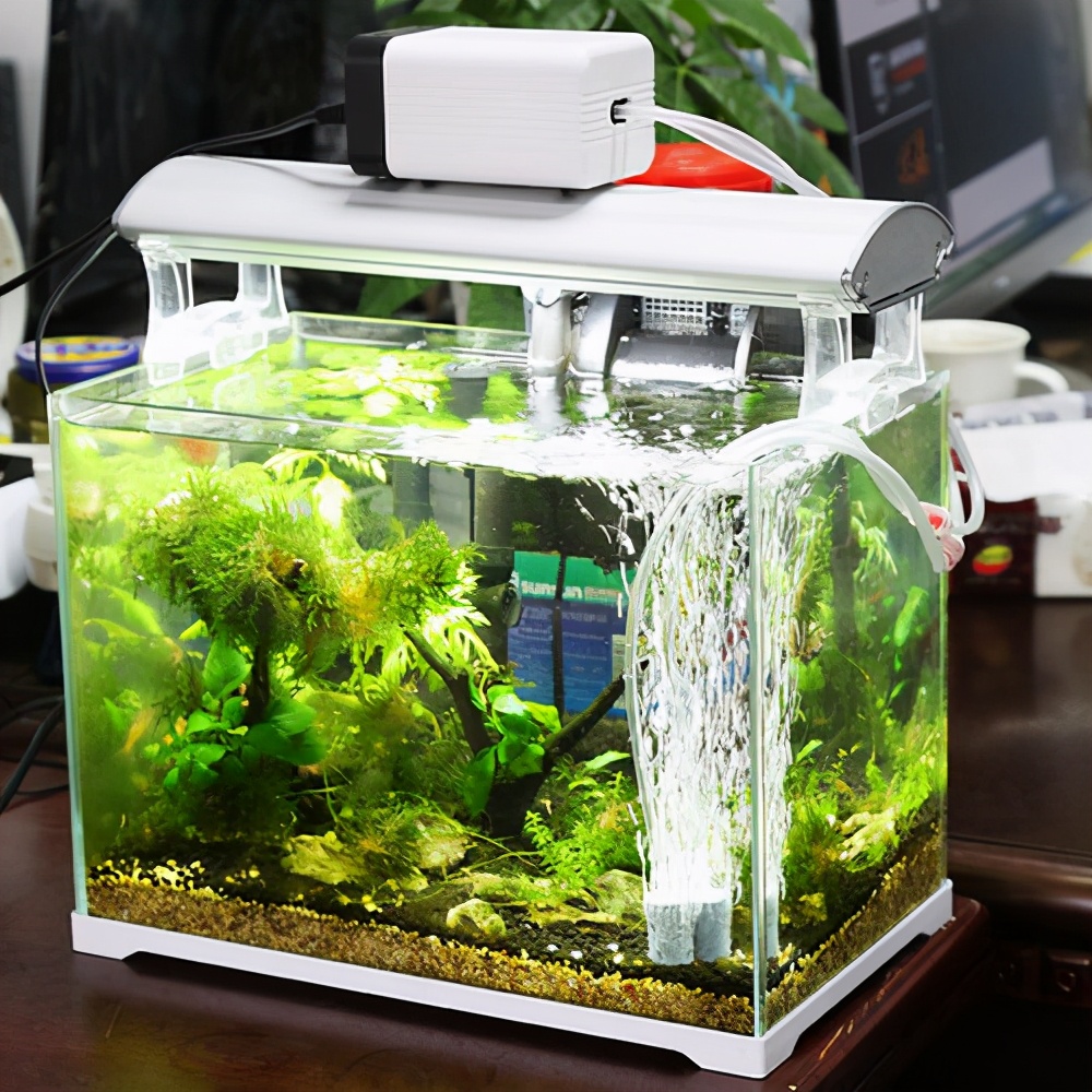 鱼缸增氧机 鱼缸增氧机什么品牌最好-百联百科