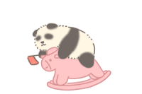 “双一流”不再接收专接本学生，对你究竟有多大影响？