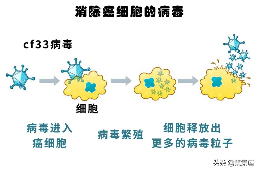 在2019年出现18个或许能够改善我们生活质量的科技进步