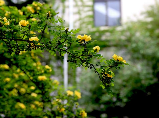 北京科技大学 理工 2016-2018录取分数线