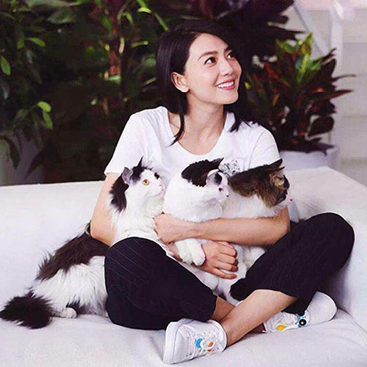 赵又廷爸爸有什么资格当众责骂高圆圆？她身家过亿，可是下嫁赵家