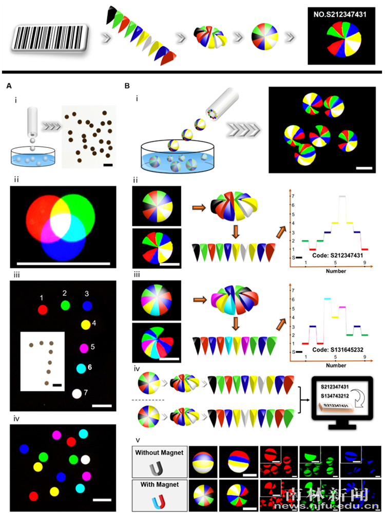 重大突破！南京13项科研成果获国际关注！