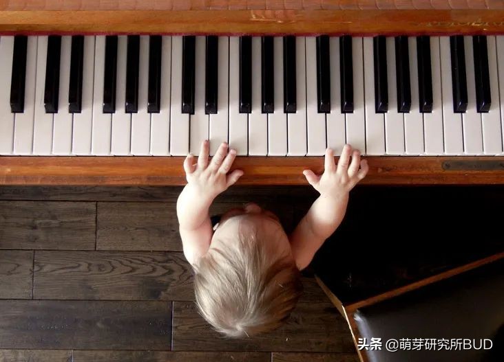 素质教育现全面开花，学校课后兴趣班该怎么选？常见信息梳理汇总