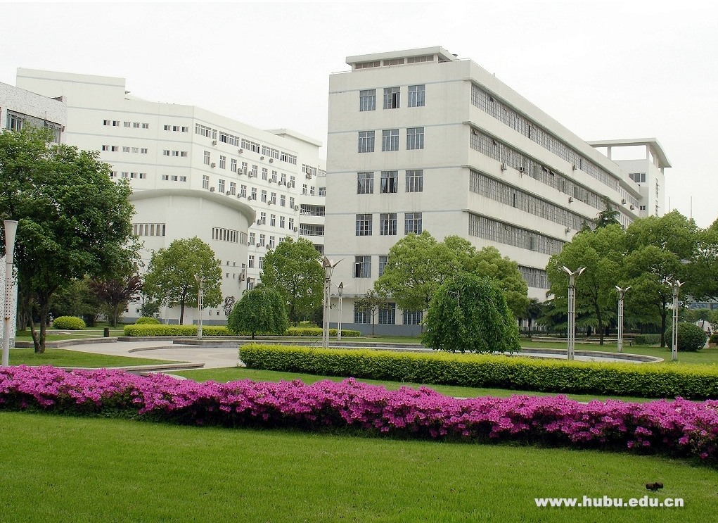 你被录取了吗？湖北大学2021年持续更新6省份美术类录取分数线