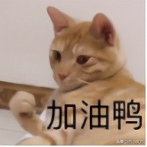 清华学姐：化竞铁牌的我是如何通过清华强基的？