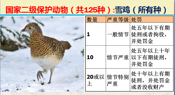 国家保护动物分几个等级（125类二级野生保护名录）