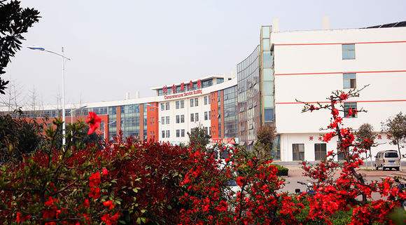 山东省卫健委旗下三所高校，多年办学无一升本