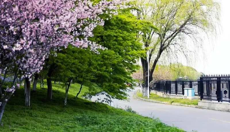 神仙颜值！苏州大学“最美校花”高清大图曝光！总有你喜欢的那一款