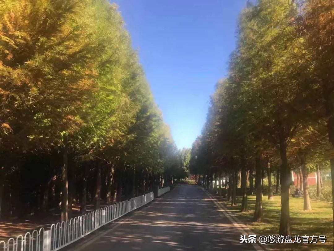资讯｜昆明绝佳十大文艺拍照圣地，全部去过的请举手！