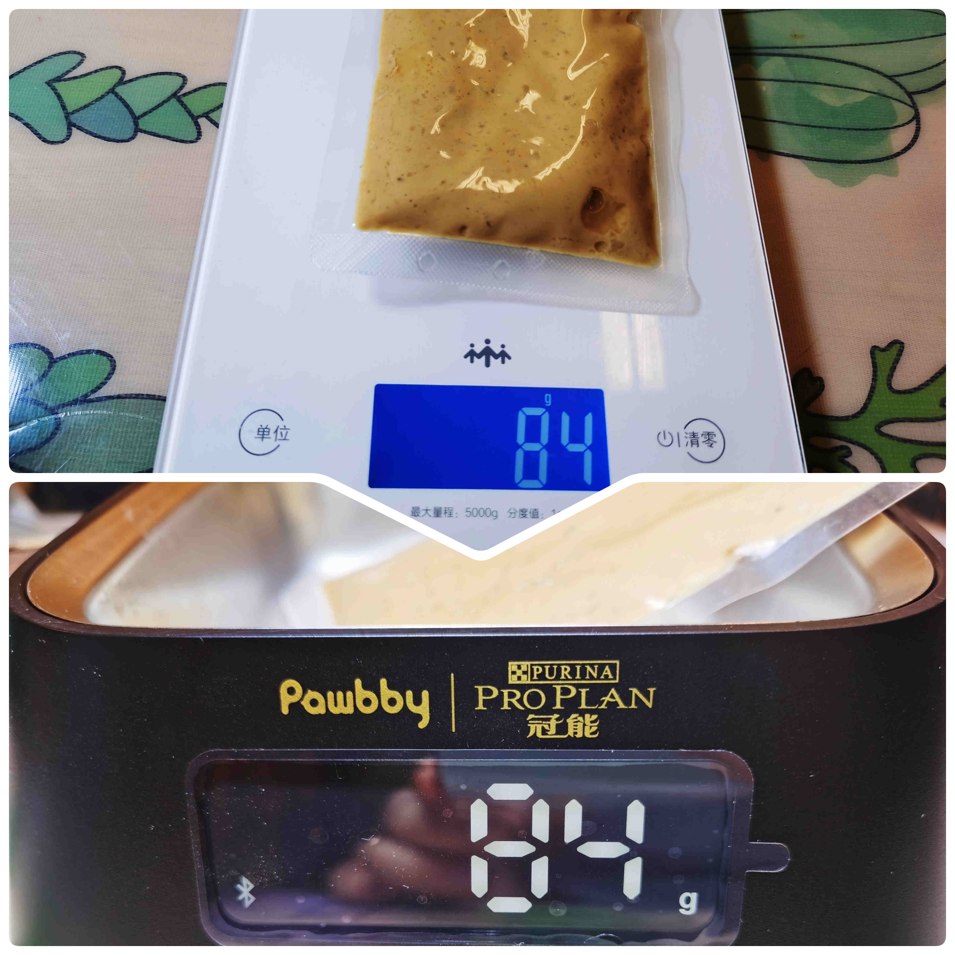 智能监控，科学“投食”—pawbby智能碗，让你的毛孩更健康