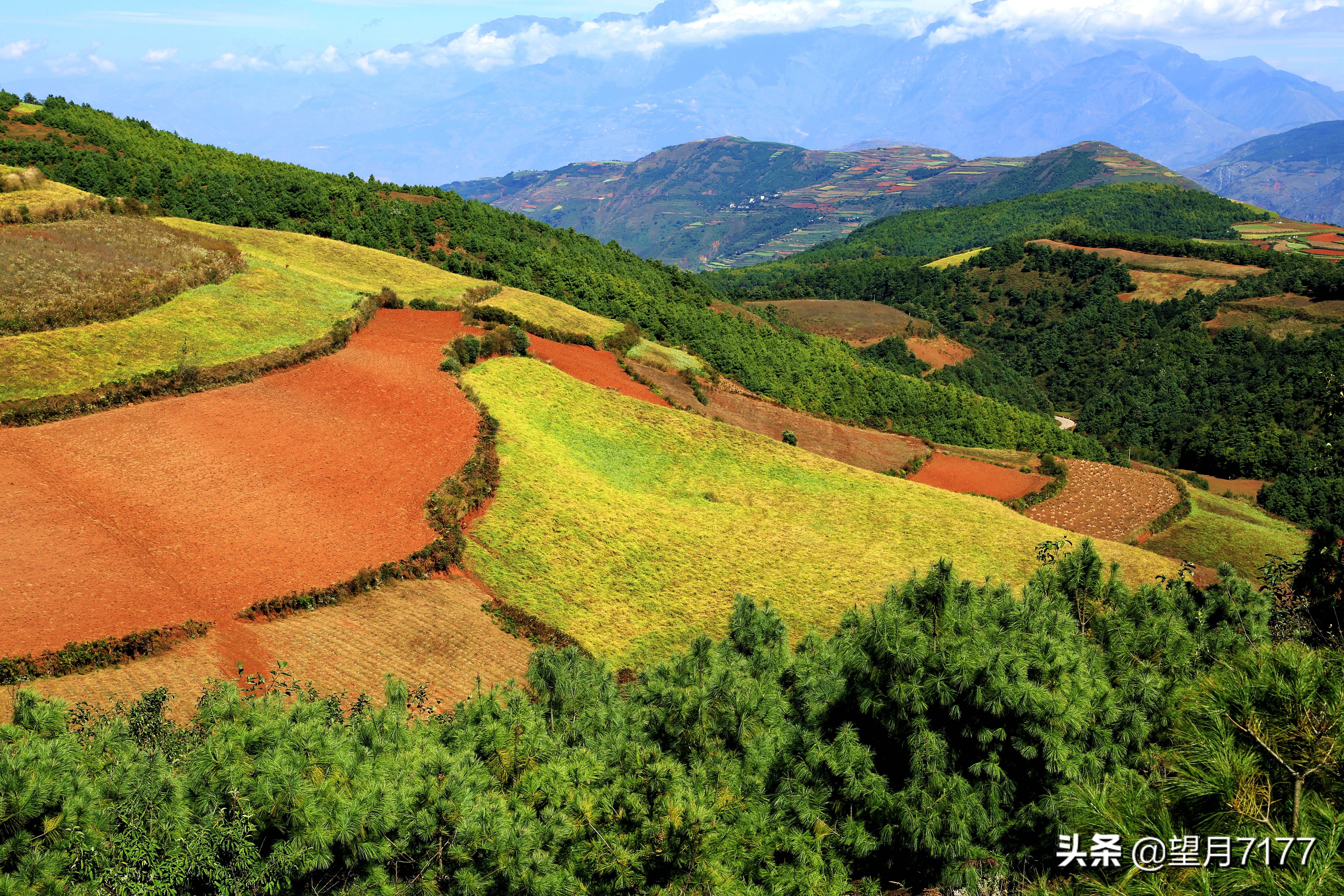 雲南東川紅土地,原生態的美景,自駕遊如何玩?值得收藏