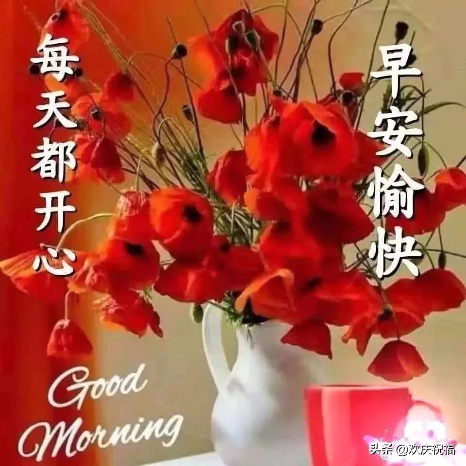 雾天最美早安问候祝福语图片带字温馨,雾天的早安说说句子