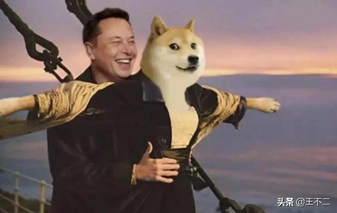 真的服了币圈，被屎糊了一脸