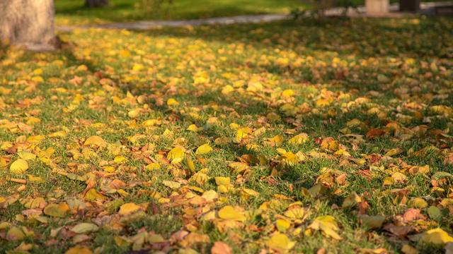 内蒙古的“土豪”大学，是一所省部共建高校，校园风景四季美如画
