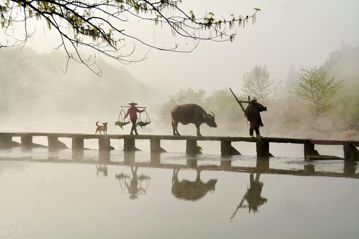 中国最美仙都，一个自带仙气的景区，每一帧都是大片的既视感插图29