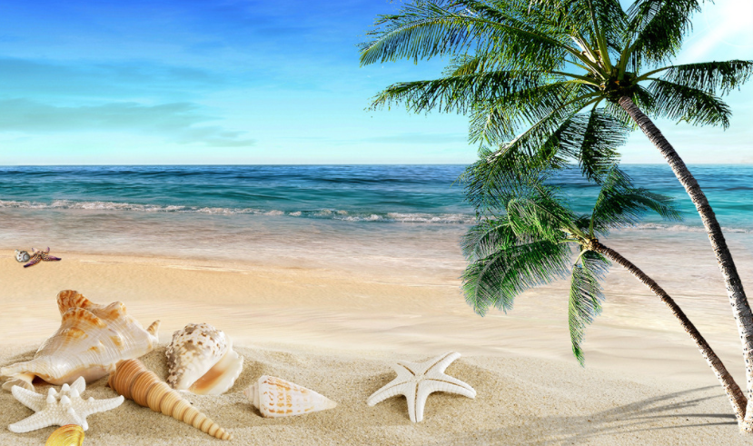 海南“禁公寓令”正式实施，商改住行不通了，公寓业主哭晕在厕所